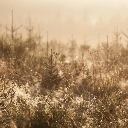 Le Verger Du Pierroy Bed & Breakfast Louftémont