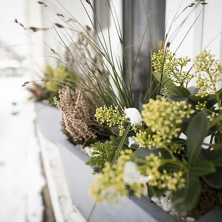 Le Verger Du Pierroy Bed & Breakfast Louftémont