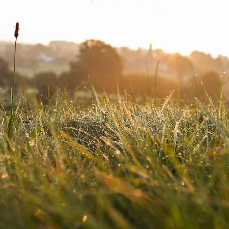 Le Verger Du Pierroy Bed & Breakfast